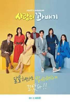 《爱的麻花》：喜剧爱情新篇章，笑料与感动并存