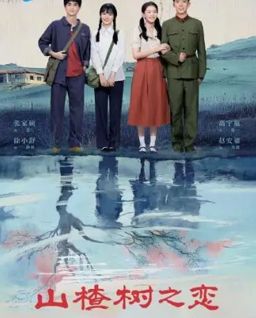 《山楂树之恋2025》：超时空爱恋，不变的纯真感动