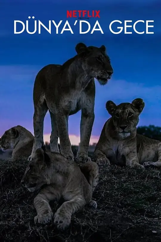《地球之夜》：五座城市，五段邂逅，夜幕下的温情与孤独|吉姆·贾木许经典之作
