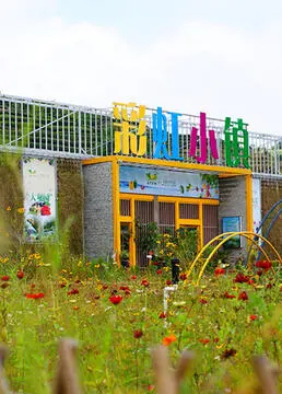 《彩虹小镇》：童年回忆杀！失落情感的治愈之旅，献给每个渴望温暖的你