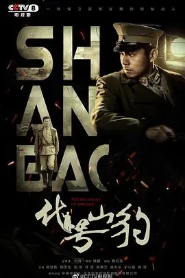 《代号·山豹》：揭秘尘封谍战传奇，信仰与牺牲交织的震撼史诗